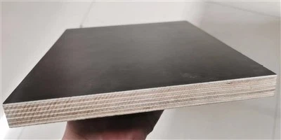 18 mm multiplex met zwarte film voor de bouw
